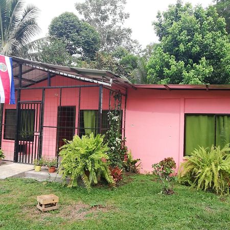 Paraiso Verde Siqurres Da Alegria Kültér fotó