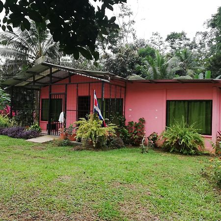 Paraiso Verde Siqurres Da Alegria Kültér fotó